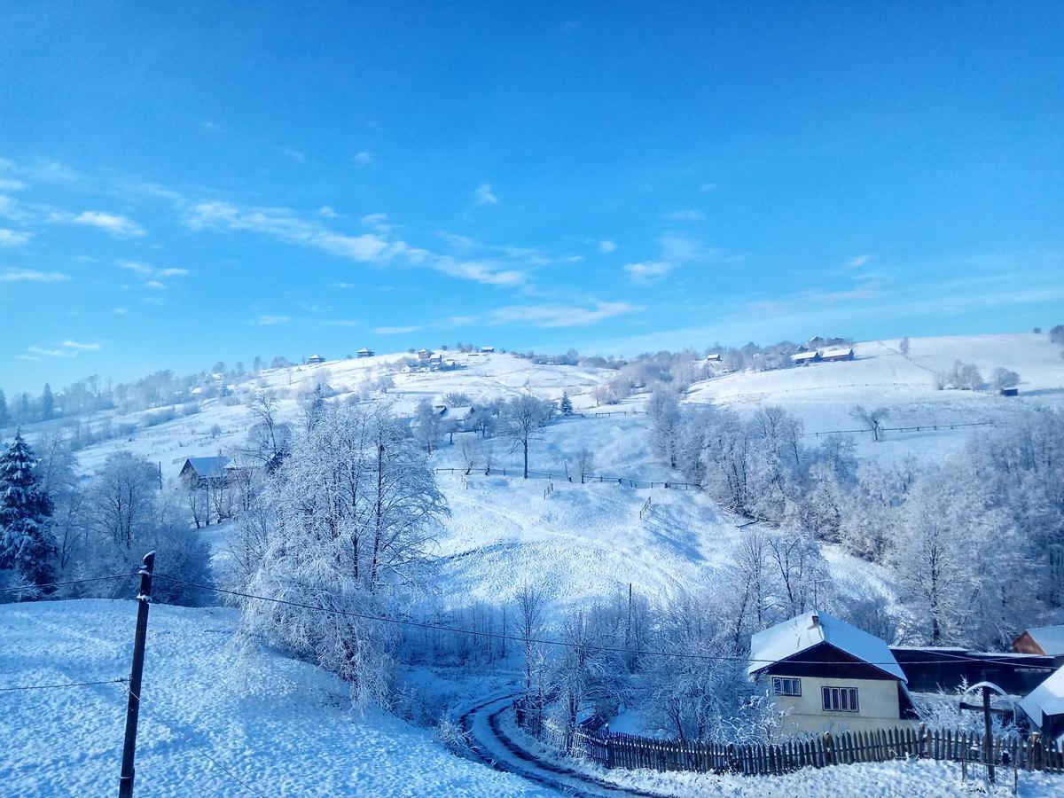 Дзвін Карпат Villa Лазещина Екстериор снимка